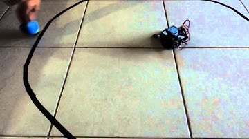 Robô Sumô com Arduino Uno