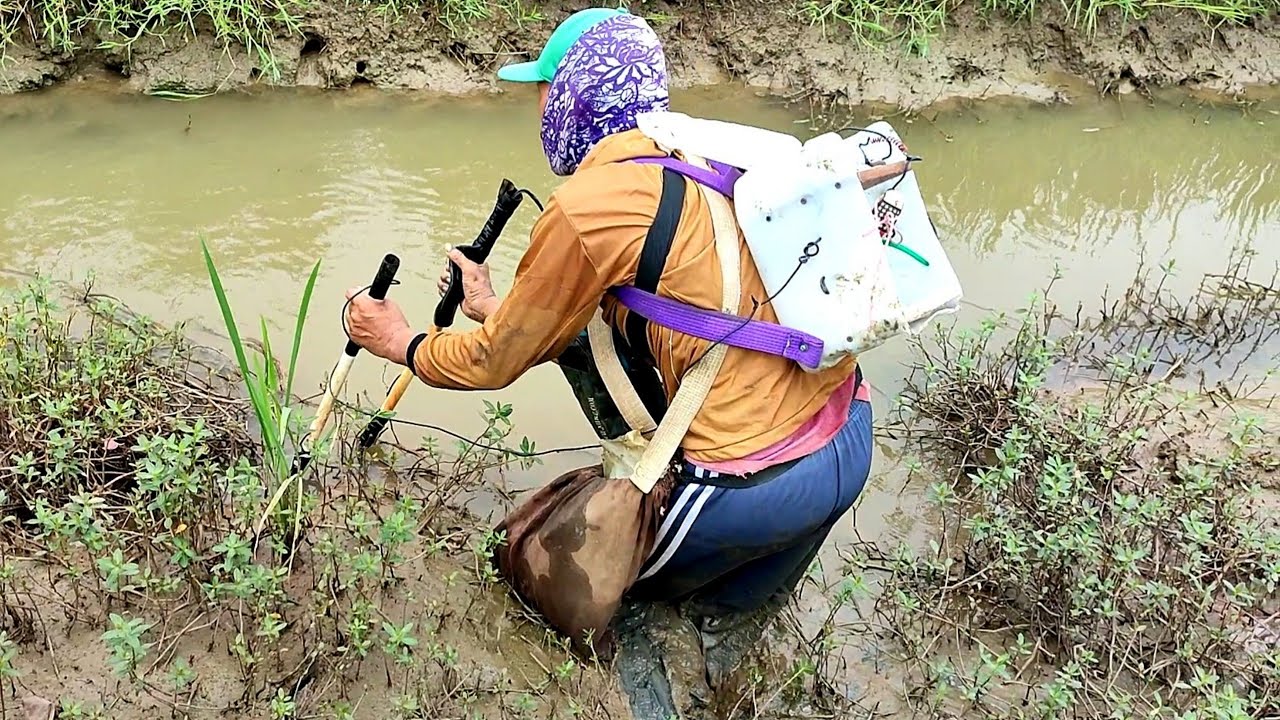 Tes Setrum Baru 10 Biji Kondensor