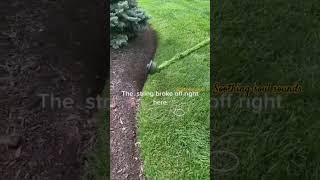 satisfying lawn cutting with relaxing music #satisfyingvideo #satisfying #relaxingsounds