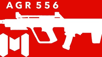 AGR 556 | A Casual’s Quick Guide