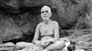 THE HEART OF THE RIBHU GITA - Ramana Maharshi - Audiobook - …