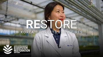 Wildfires, scientists and a doomsday seed vault – inside a country’s restoration journey