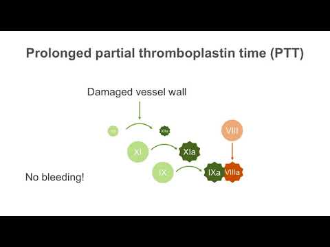 How to interpret a partial thromboplastin time (PTT) test