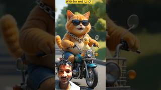 AI-Generated Laughs: Hilarious Cat Animations 🤣| #ai #shorts #funny #youtubeshorts