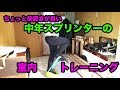 陸上短距離室内トレーニング（バランスクッション＋ゴムチューブ）2017.12.27