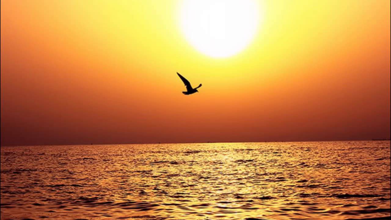 ترنيمة اذا ما غرد العصفور / بهير ادوار