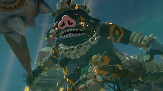 First Boss Bokoblin Fight at Hyrule Field Skyview Tower Zelda Tears of the Kingdom
