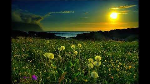 سورة الكهف بصوت القارئ محمد عبد الكريم