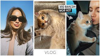 ВЛОГ / ОДИН ДЕНЬ СО МНОЙ. НАША МЕЧТА СБЫЛАСЬ — В ПИТЕР ЗА КОТОМ 🐈