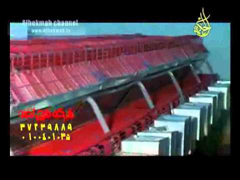 اعلان شركة طرح الجنة ارانب 