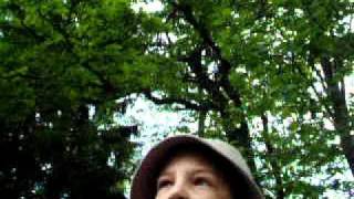 Bild 073