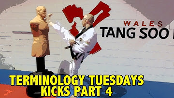 Terminology Tuesdays - Kicks Part 4