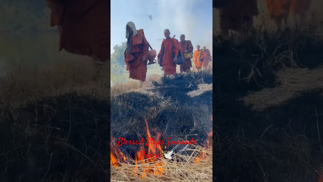 Blessed Steps Towards Peace 🕊️ Aloka & Monks Share Sacred Moments | 