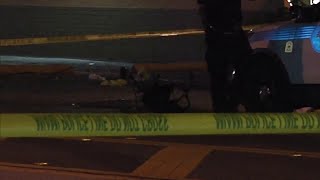 Sister mourns after woman killed in hit-and-run crash in Miami