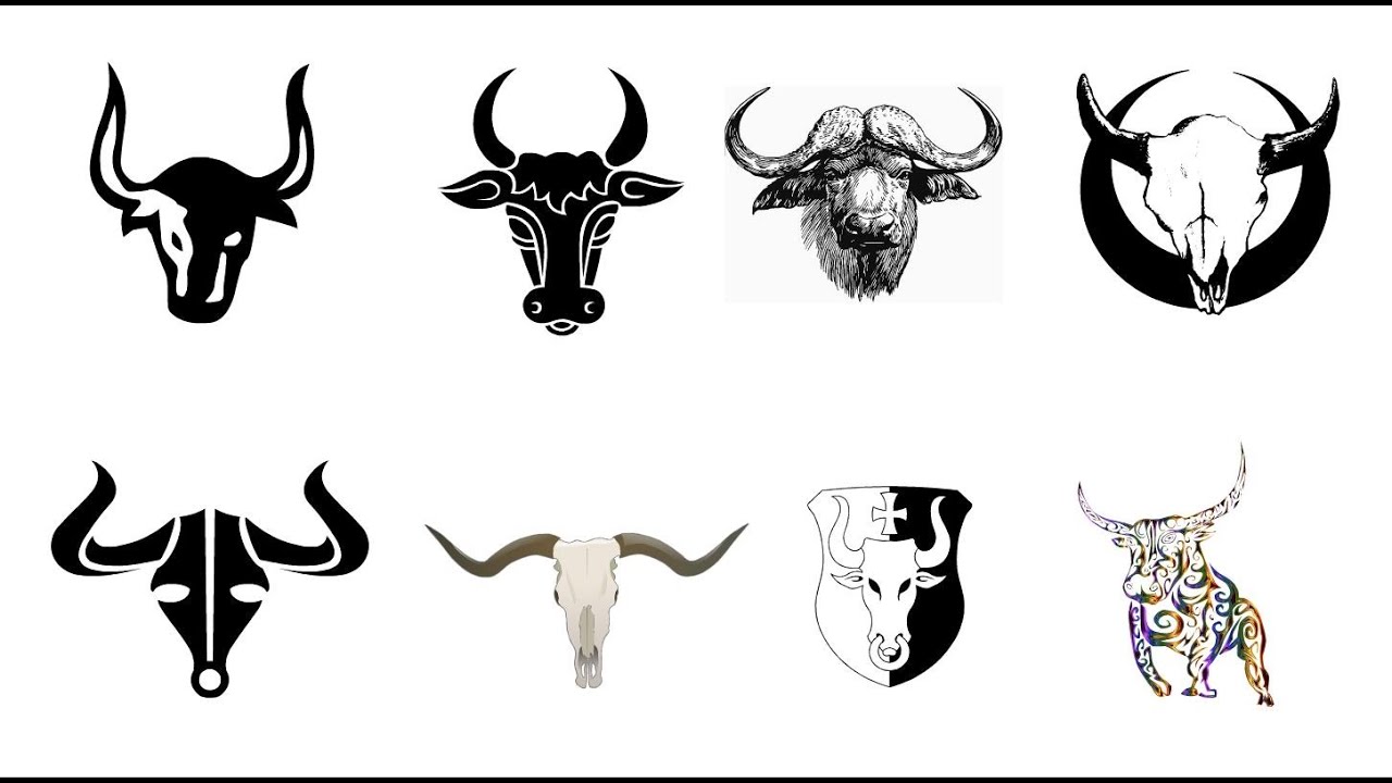 Wild Buffalo Bull for Mascot or Tattoo Design Stock Vector  Illustration  of muscular brave 172371053