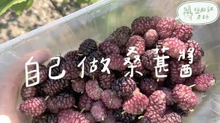 自己做桑葚醬