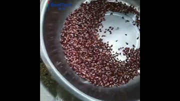 Small Seed Color Sorting Machine Q32