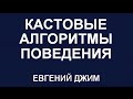 «4 Касты» Кастовые алгоритмы поведения. Как определить Касту? Евгений Джим