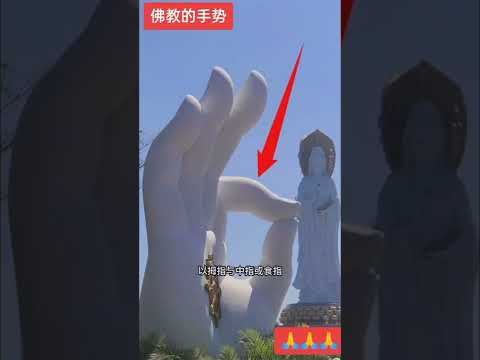 佛教五種手印的象徵 讓你更深入了解 佛法無邊 佛度有緣 阿彌陀佛🙏