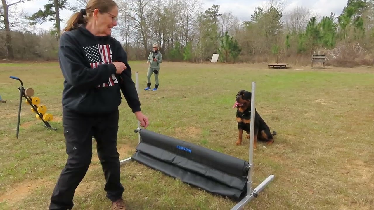 2026-Feb uploaded   MVI 2330