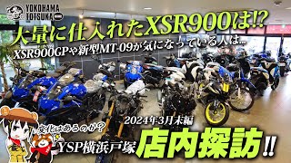 さーさんページ In-store Tour | Late March 2024] The status of the many