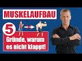 Muskelaufbau - 5 Gründe, warum es nicht klappt!