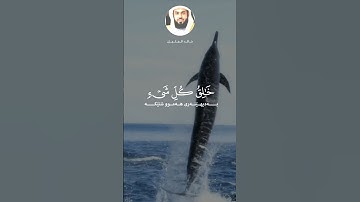 #قران_كريم #راحه_للقلب #راحة_نفسية #صوت_جميل_رائع #quranreaction #الشيخ_خالد_الجليل #سورة_غافر