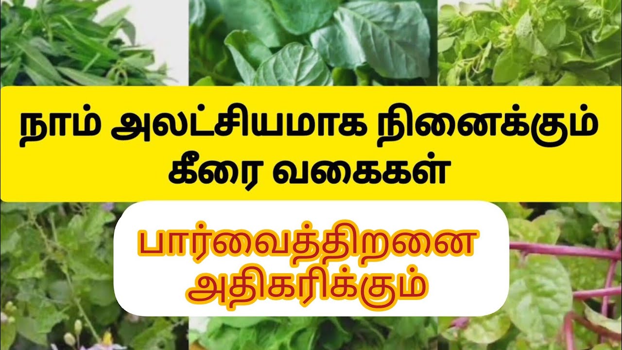 கீரை மருத்துவம் | Keerai Vagaigal And Benefits In Tamil | Greens & Spinach