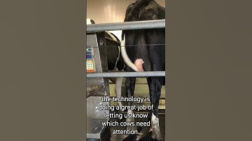 How Smart Farming Will Change The Way Farmers Make Decisions