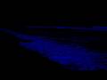 No Ads Deep Sleep Relaxation Ocean Waves For Sleep Cures For Anxiety Disorders Goodbye Stress 