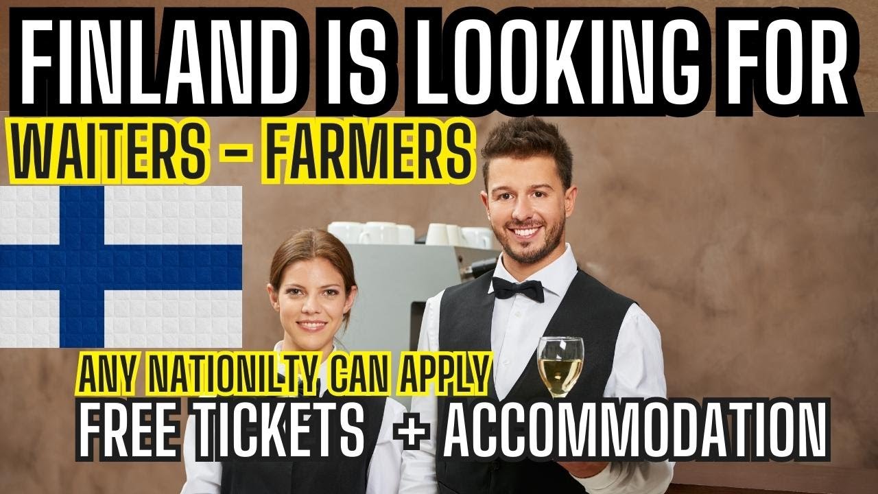 Immigration to Finland Free tickets + !! YouTube