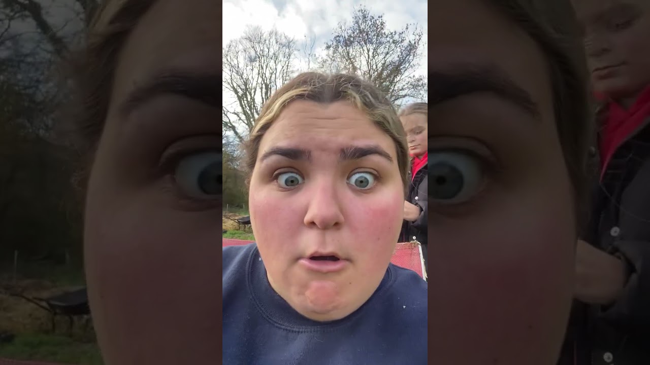 Playful Pony Nibbles Owner Instead of Kissing Her