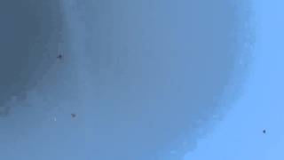 VID 20160213 151640862 2