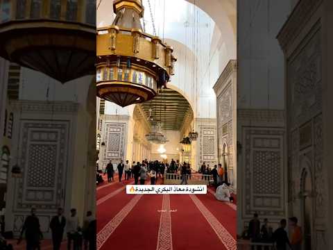 انشودة معاذ البكري الجديدة بعنوان رجعت امية عالقصر سوريا اكسبلور دويتو Shorts