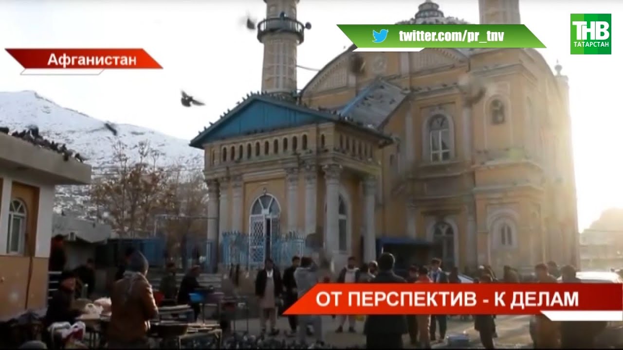 В Афганистане начнут преподавать татарский язык на государственном уровне | ТНВ