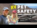 RV Pet Safety (RV Living)