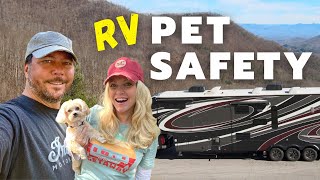 RV Pet Safety (RV Living) screenshot 5