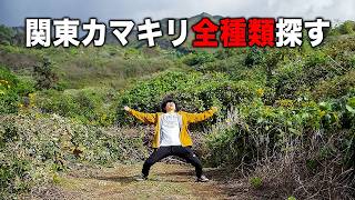 【第2回】関東に生息するカマキリ全種類探しに行ってみた!