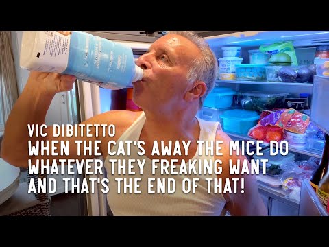 When the cat's away the mice do whatever they freaking want and that's the end of that!