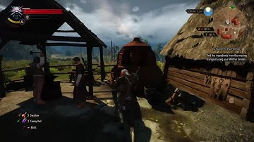 The Witcher   A Surprise Inheritance