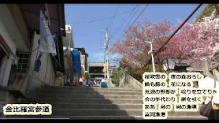 富岡漁港　伊達ゆうた　hide560　金比羅宮　１００　四国カラオケ
