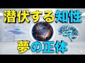 「彼らはすでに潜んでいる？」米国が隠蔽した非人間知性と、夢の中に現れる『異次元』の正体