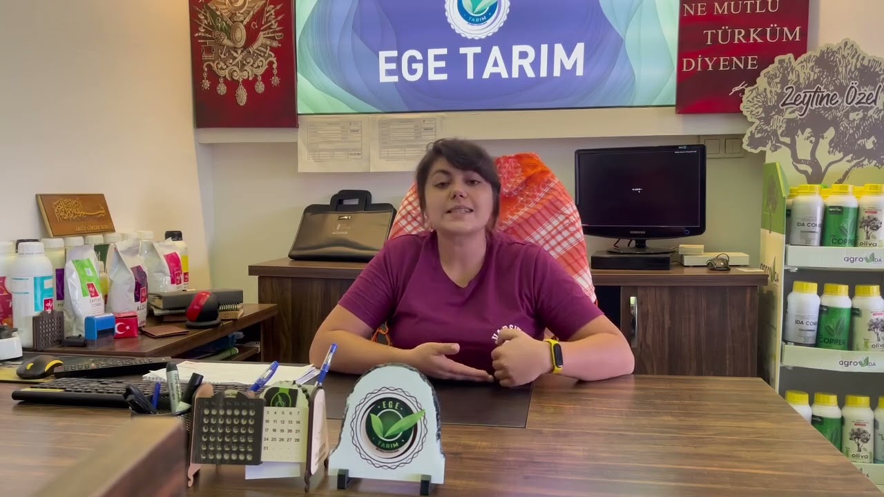 ZEYTİNE KIŞ UYGULAMASINDA NEDEN BAKIR ATMALIYIZ?