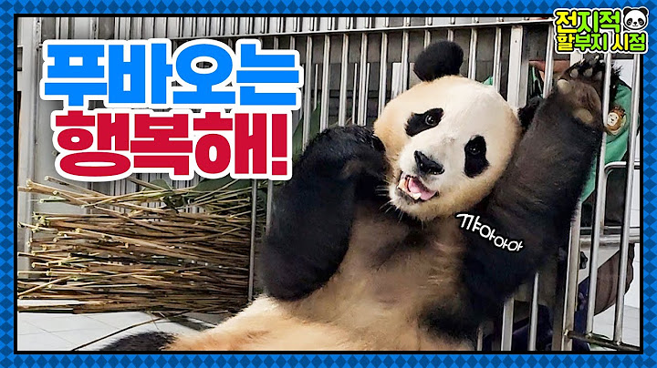 (SUB) Zookeeper Comforts Panda Fubao Startled By Thunder And Lighting💗│Panda World
