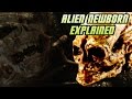 The Alien Newborn- Explained