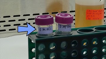 BMFS laboratory protocol - Full video