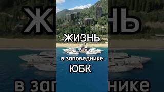 Апартаменты и квартиры в заповеднике на Южном Берегу Крыма бронируйте на старте в рассрочку