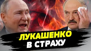 Лукашенко боится, что после победы Украины ему придёт конец — Валерий Карбалевич