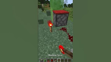 Easy Minecraft 1.16 Carpet Duplication Glitch #Shorts