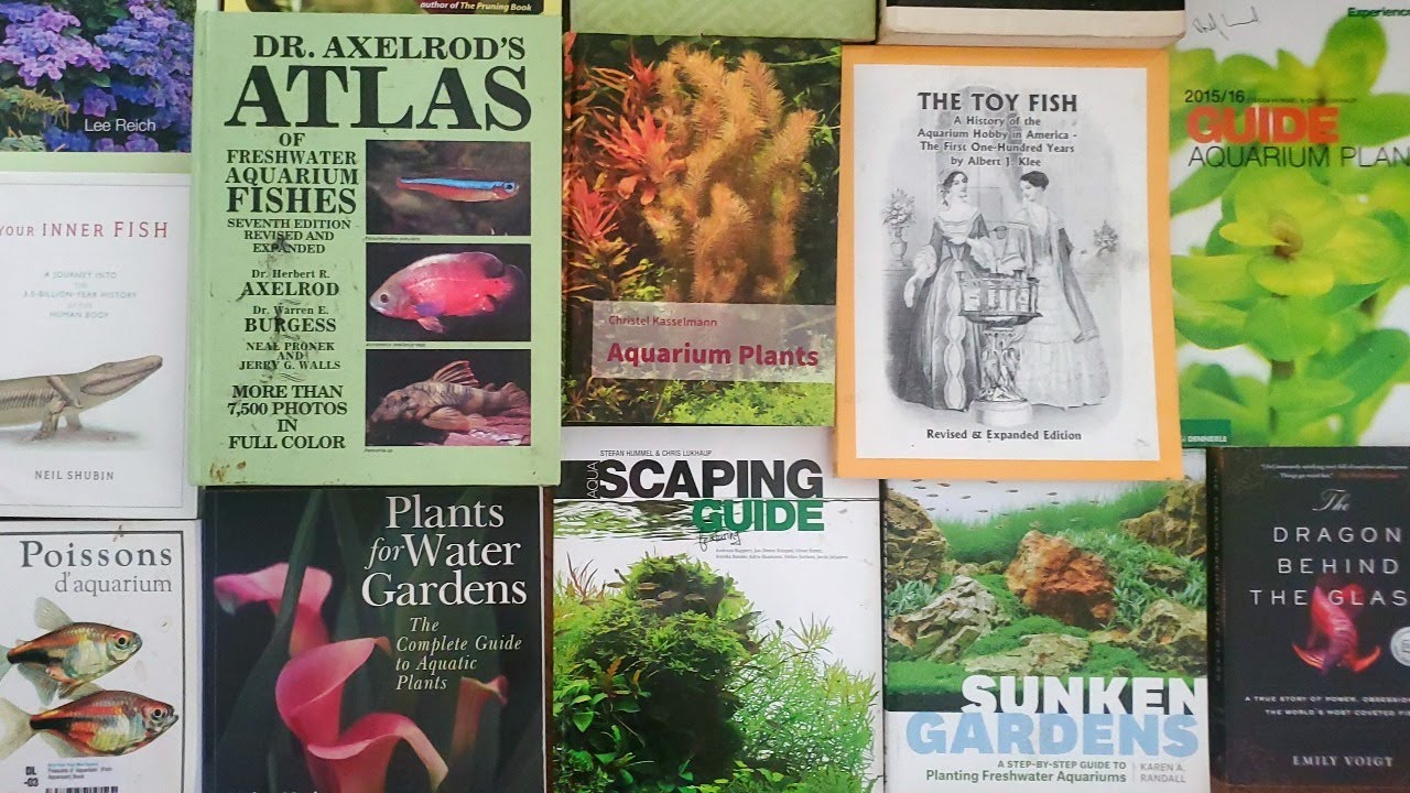 Channel Upgrades/Updates, Aquarium Reference Books I Love & Amazon